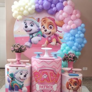 Decoração Sky Patrulha Canina